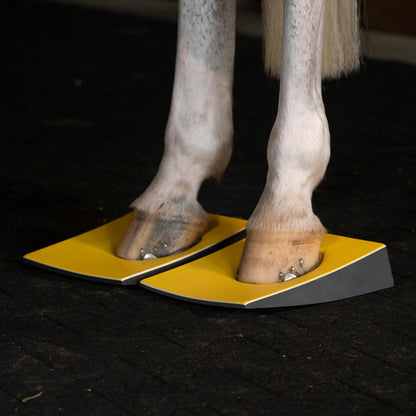 Level 3 - Firm Slants (Angle)