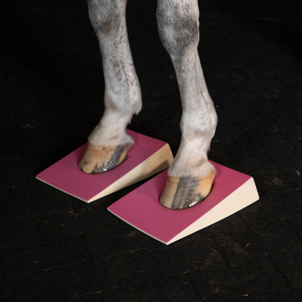 Level 2 Set - Hard & Hard Slants + FREE Tote!